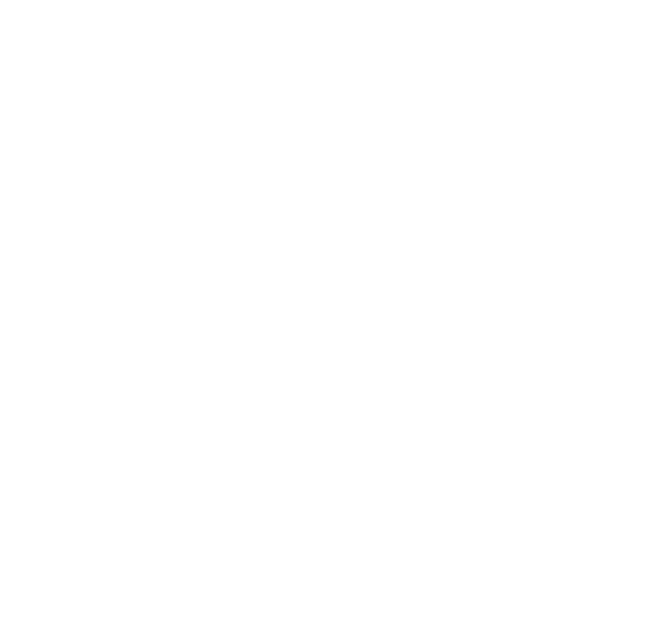 Picnic